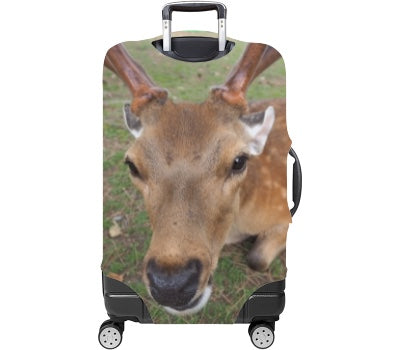 Custom Luggage Cover