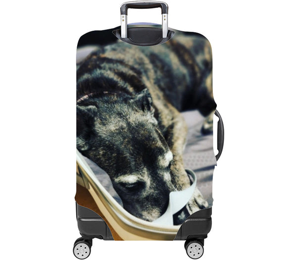 Custom Luggage Cover