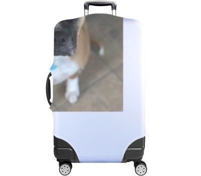 Custom Luggage Cover