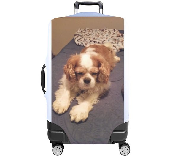 Custom Luggage Cover