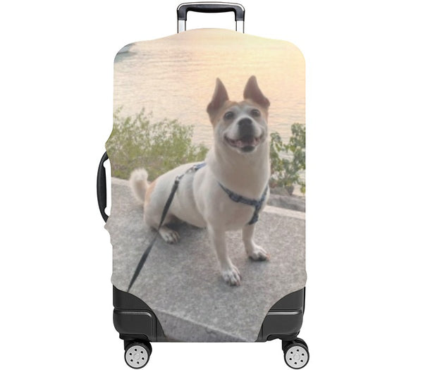 Custom Luggage Cover