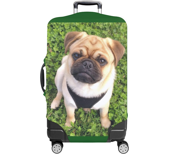 Custom Luggage Cover